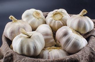 Garlic: Studies Confirm It’s a Cancer Preventer - Garlic Pic
