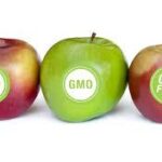 GMO-label - Beat Cancer Blog