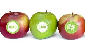GMO-label - Beat Cancer Blog