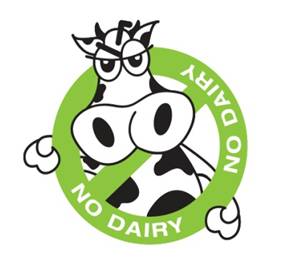 no dairy cow