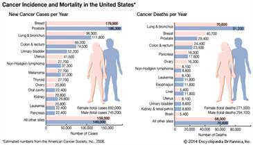 cancer death and incidence rates