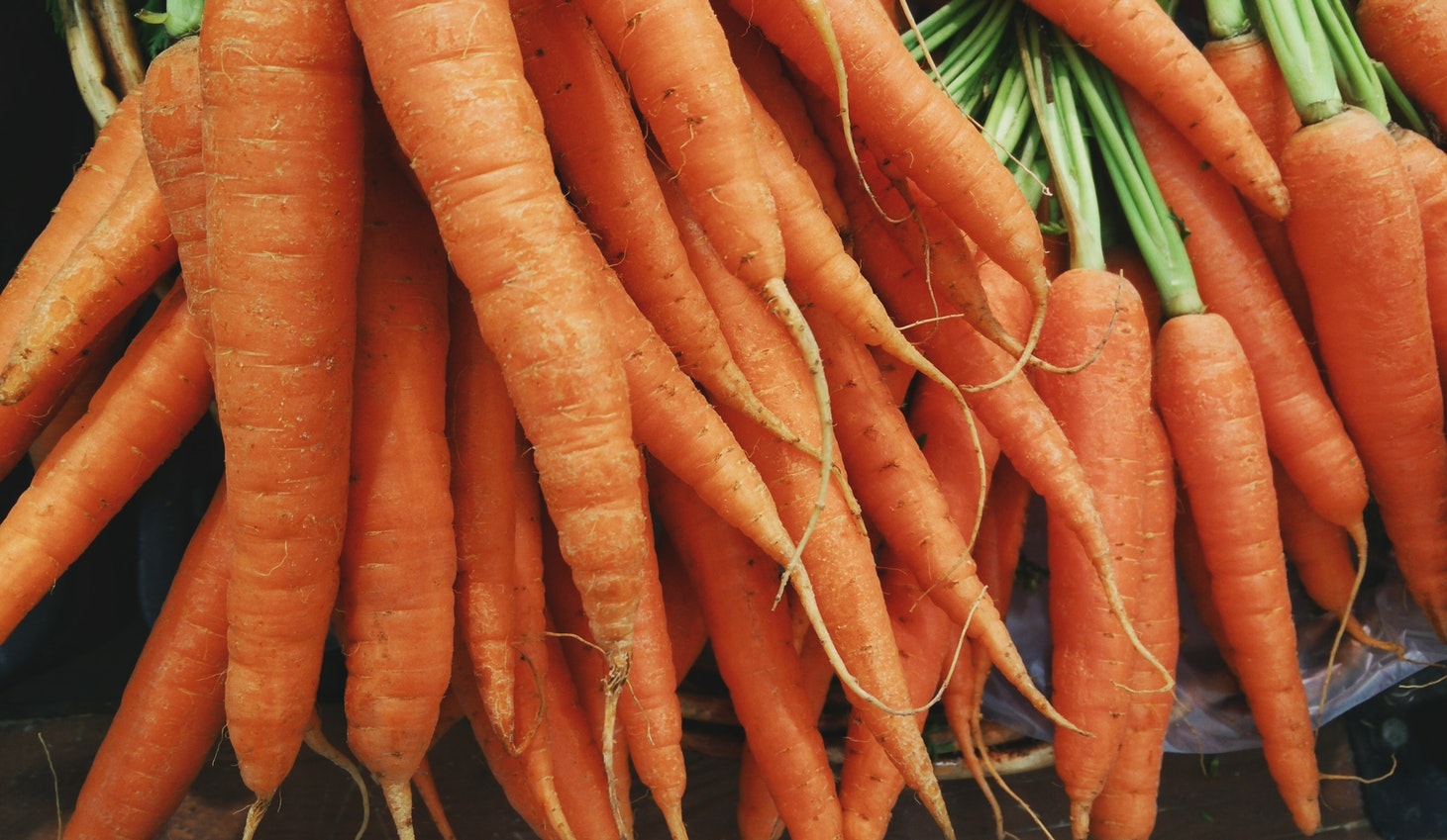Curing Cancer with Carrots - bunch of carrots - Pic