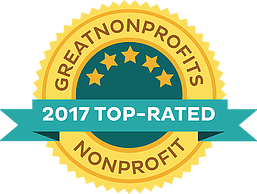 great nonprofit 2017 badge