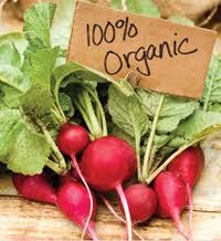 organic-produce - Beat Cancer Blog
