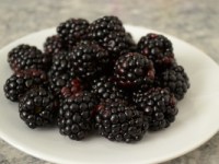 Blackberry