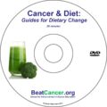 Cancer & Diet Guide DVD Susan Silberstein PhD Beat Cancer