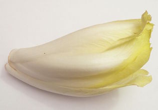Belgian Endive Recipe Hungry for Health Susan Silberstein PhD Beat Cancer
