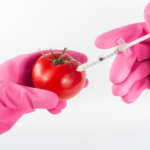 syringe injection into tomato Beat Cancer Blog