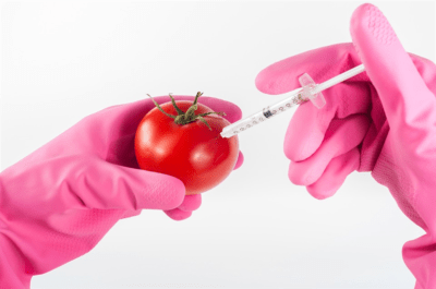 syringe injection into tomato Beat Cancer Blog